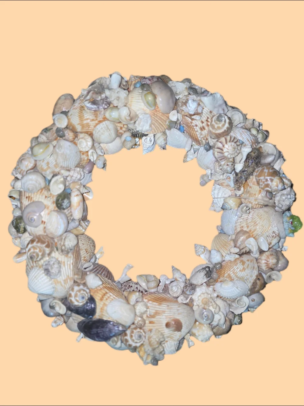 Seashell  Wreath in Natural Multi-Color